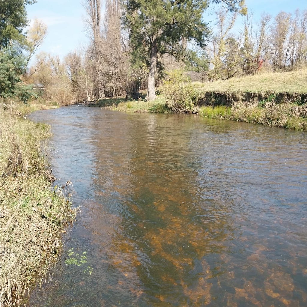Fish River near Mutton Falls Road, Tarana NSQ