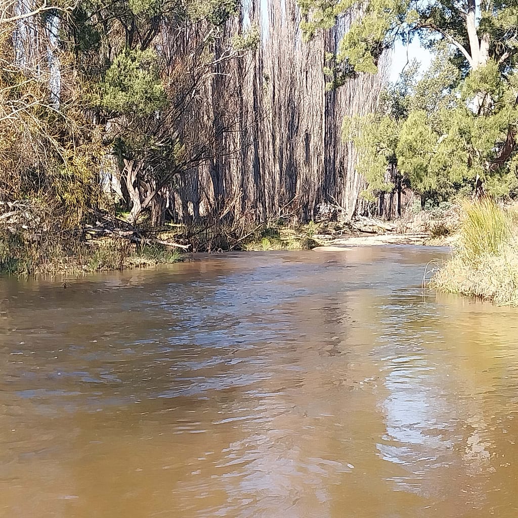 Fish River, Tarana NSW
