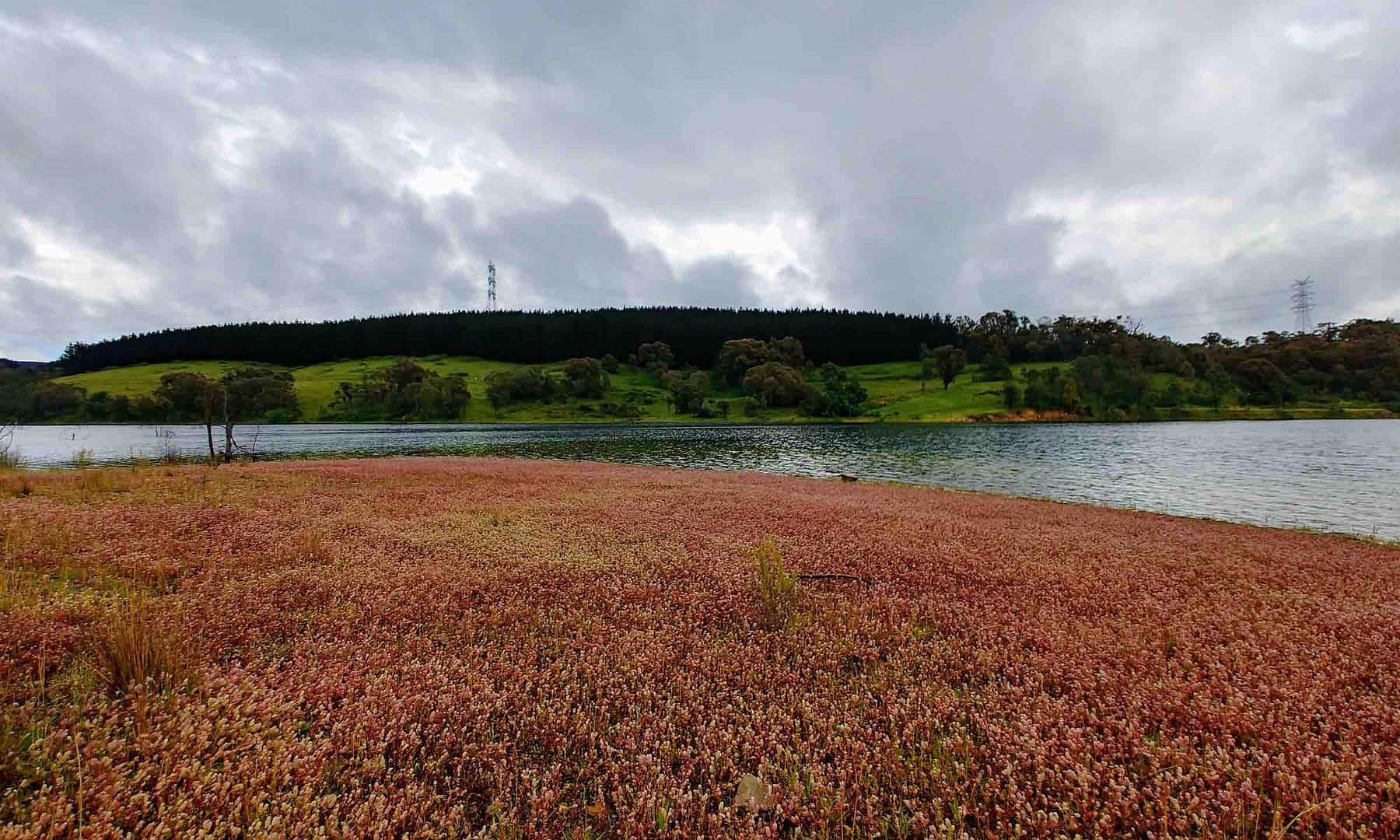 Thompson's Creek Dam