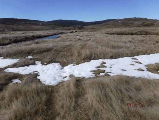 Eucumbene river at Kiandra