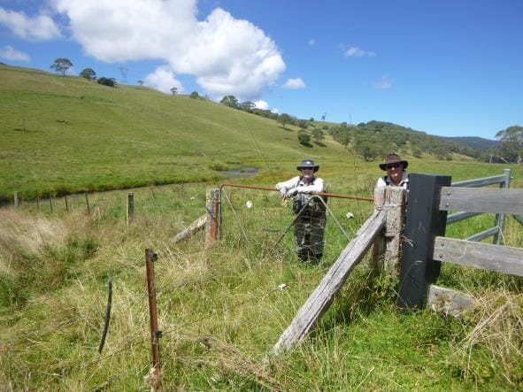 Trout stream in Ebor, NSW