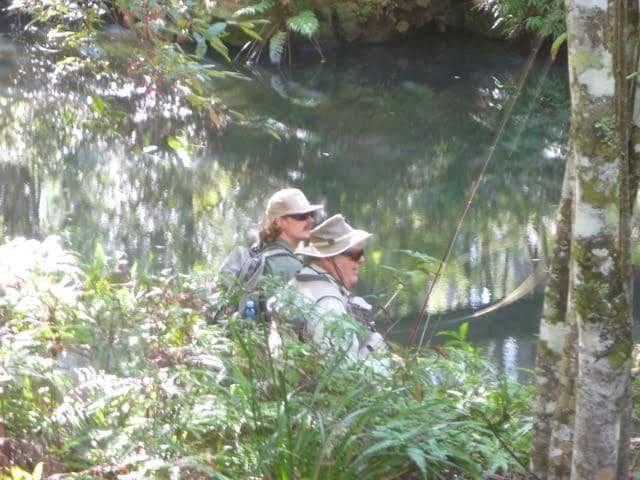Southern Highlands trout stream NSW