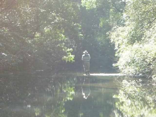 Fly fishing Southern Highlands trout stream NSW